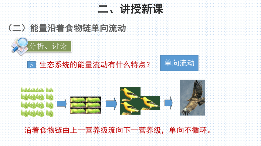 北师大版生物八年级下册 8.23.3 生态系统的结构和功能 （第2课时）(共23张PPT)