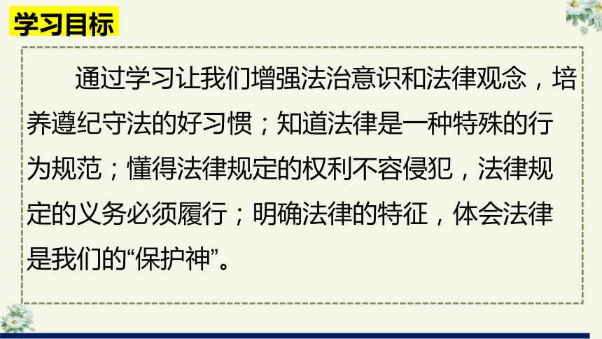 9.2 法律保障生活 课件(共30张PPT)-2023-2024学年统编版道德与法治七年级下册