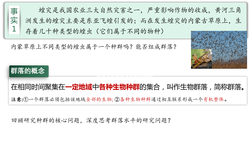 2.1 群落的结构课件(共80张PPT1份视频)-2023-2024学年高二上学期生物人教版选择性必修2