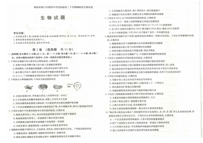 海南省海口市第四中学2020届高三下学期调研试生物试卷 PDF版