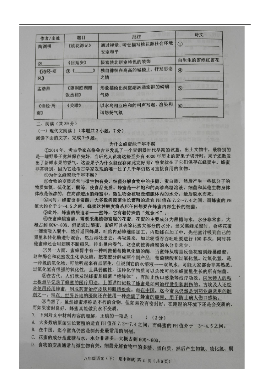 广西壮族自治区北海市合浦县2023-2024学年八年级下学期5月期中语文试题（pdf版无答案）