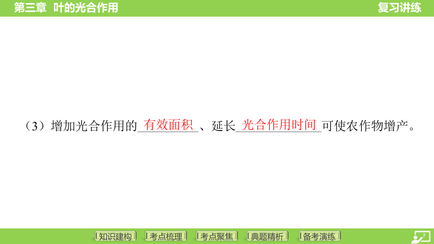 第一篇 第三单元 第三章 叶的光合作用  课件(共38张PPT) 2024中考生物总复习专题突破(冀少版)