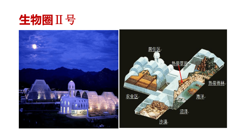 第六单元生物与环境第一二三章复习-课件(共18张PPT)