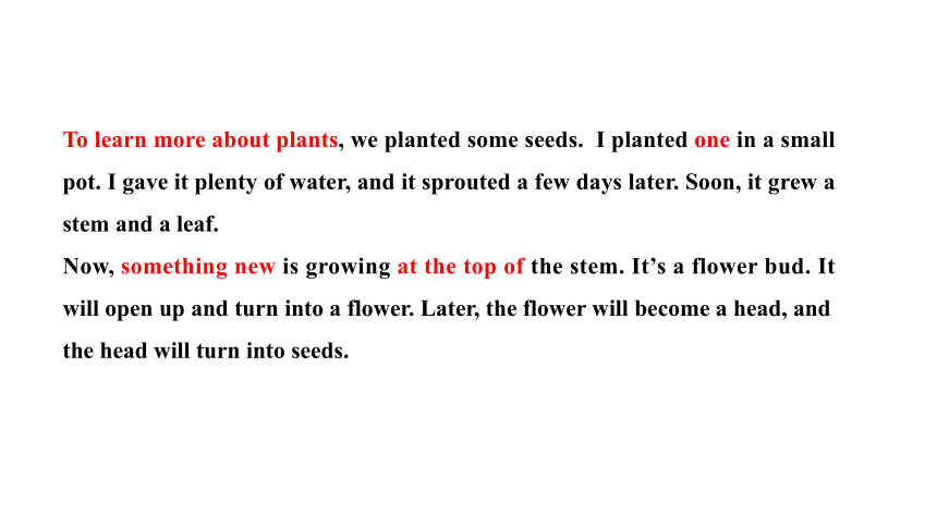 冀教版八年级下册Unit 2 Plant a Plant Lesson 12 Danny's Plant课件(共28张PPT)