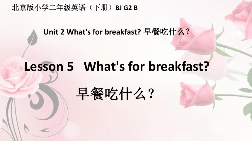 Unit 2 What's for breakfast? Lesson 5 复习课件 （共24张PPT）