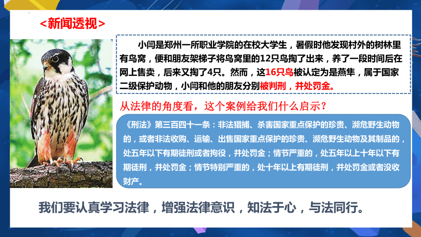 （核心素养目标）10.2 我们与法律同行课件(共21张PPT) -2023-2024学年统编版道德与法治七年级下册