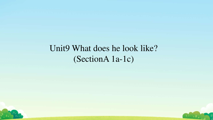 Unit 9 What does he look like_ Section A (1a-1c)课件(共26张PPT)2023-2024学年人教版七年级英语下册