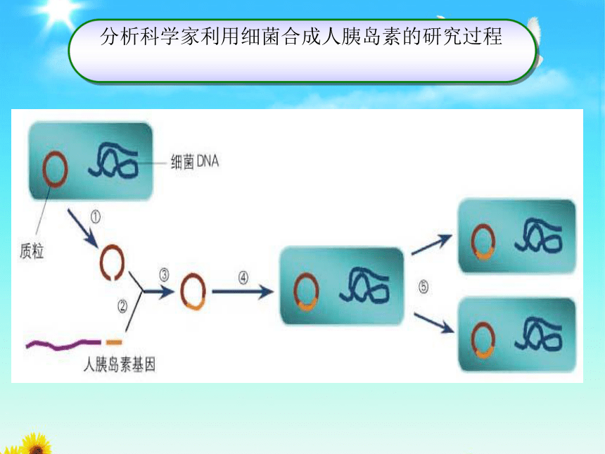 北师大版八年级下册生物：第25章 第2节 现代生物技术课件(共23张PPT)