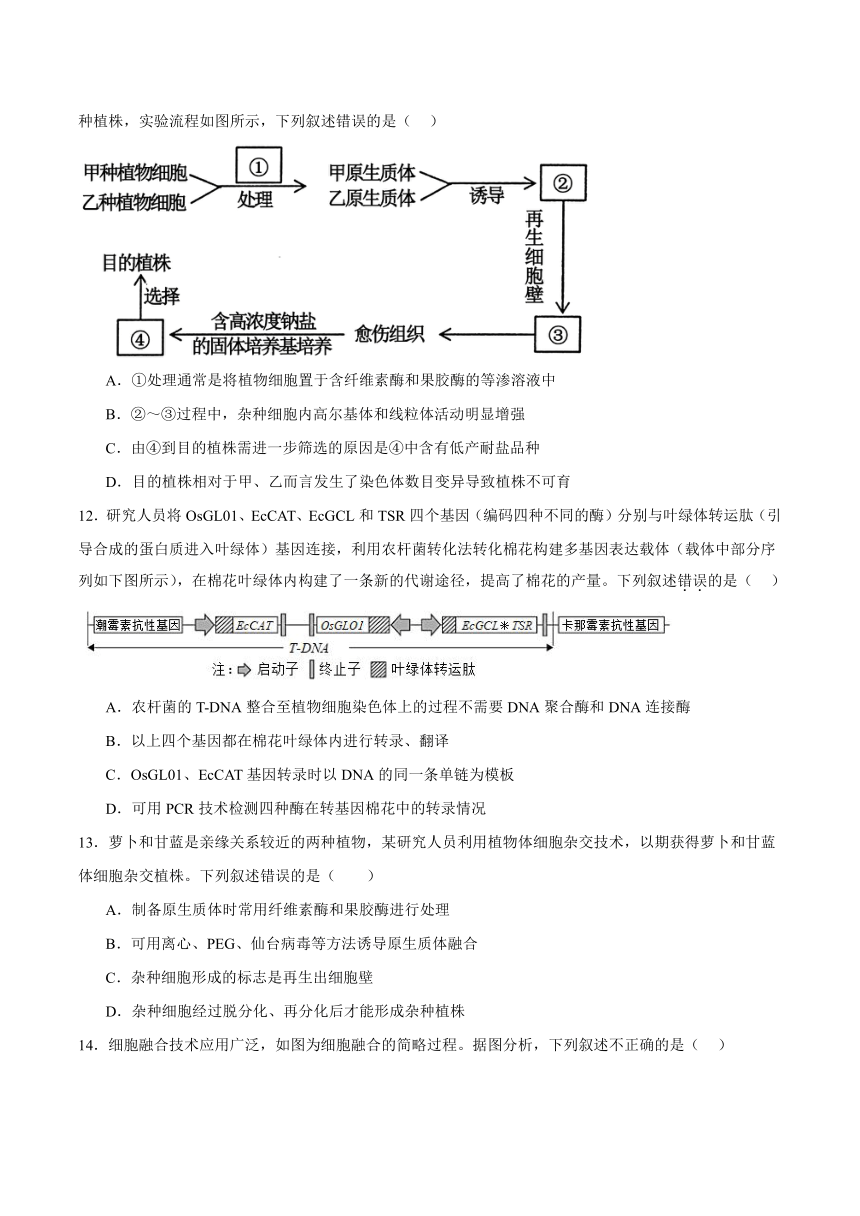 湖南省常德市汉寿县第一中学2023-2024学年高二下学期5月期中考试生物试卷（含答案）