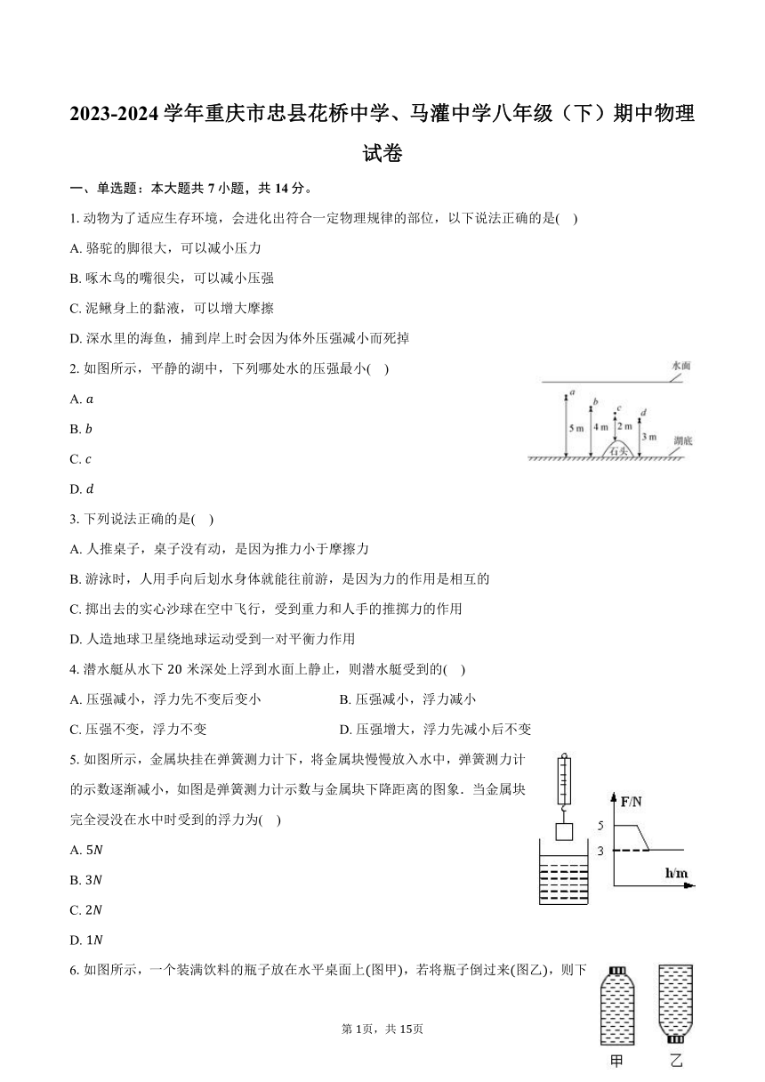 2023-2024学年重庆市忠县花桥中学、马灌中学八年级（下）期中物理试卷（含解析）