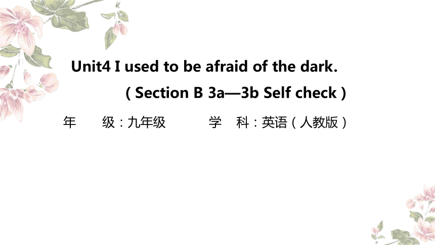 Unit 4 I used to be afraid of the darkSection B 3a—3b Self check教学课件(共23张PPT)2023-2024学年人教版九年级英语全册