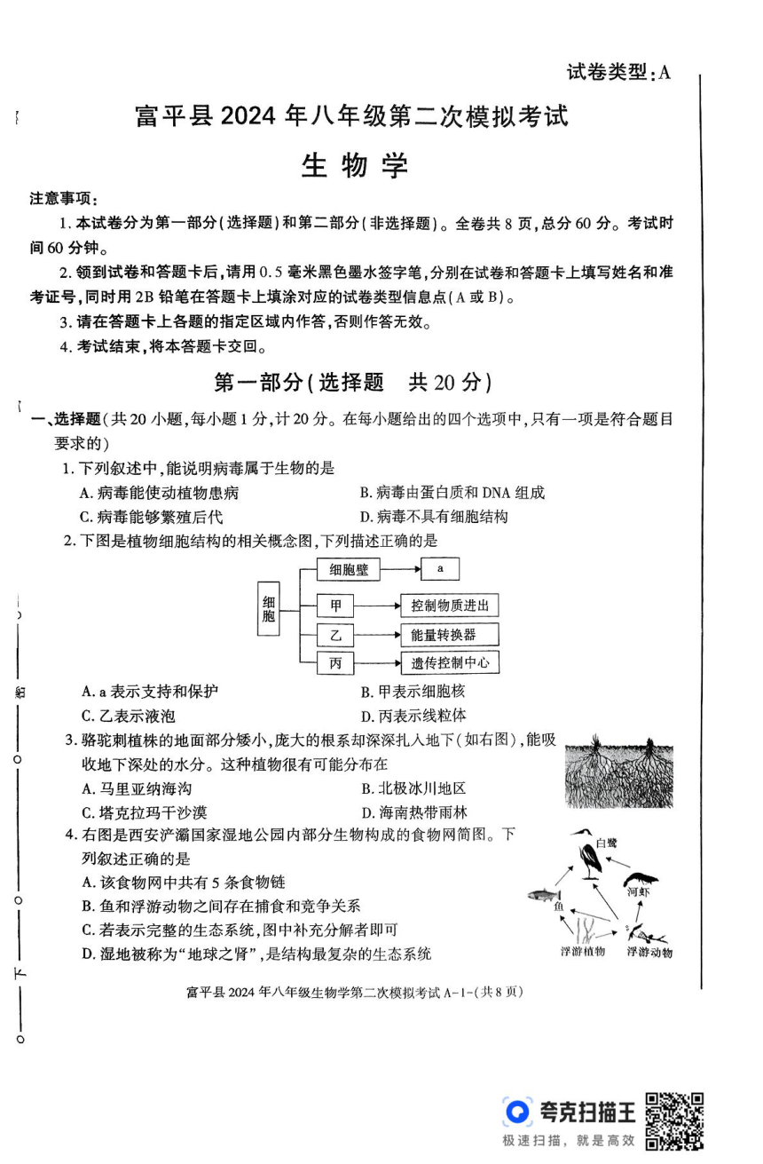2024年陕西省渭南市富平县八年级生物学第二次模拟考试试卷（pdf版含答案）