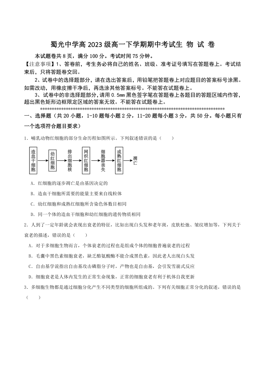 四川自贡市蜀光中学2023-2024学年高一下学期期中考试生物试卷（含答案）