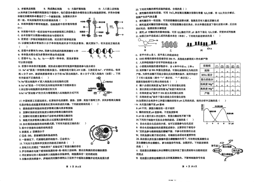 广东省江门市第一中学2023-2024学年高一启超班下学期期中考试生物试题（pdf版无答案）