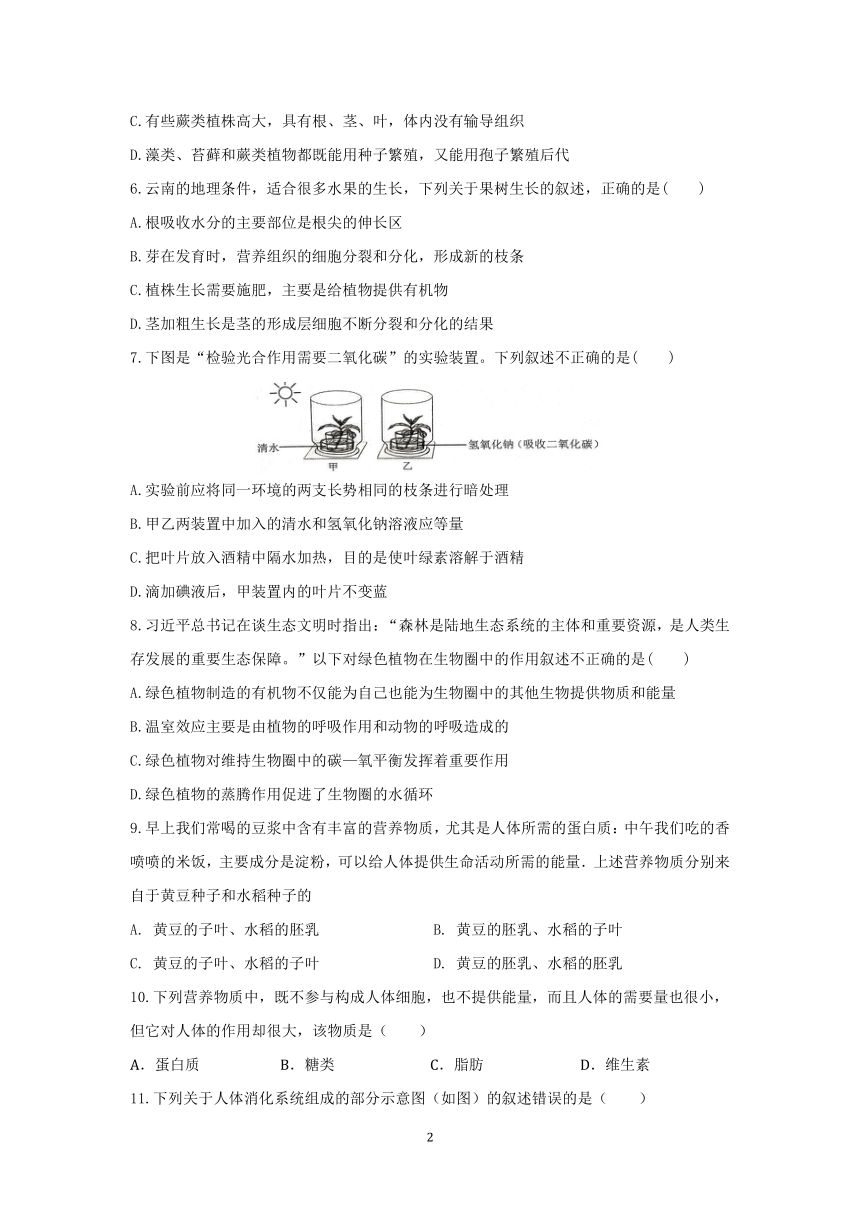 云南民族大学附属中学2024年初中学业水平模拟考试生物试题（pdf版无答案）