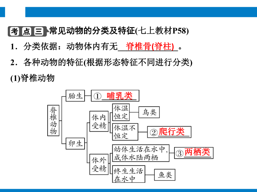 2024浙江省中考科学复习 第1讲　生物的分类（课件 54张PPT）