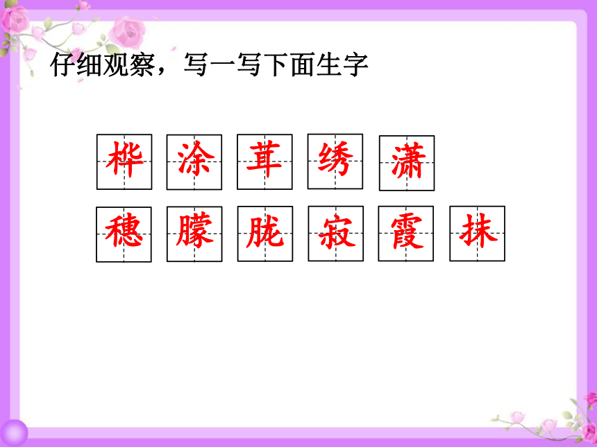 11 白桦 课件（26张）