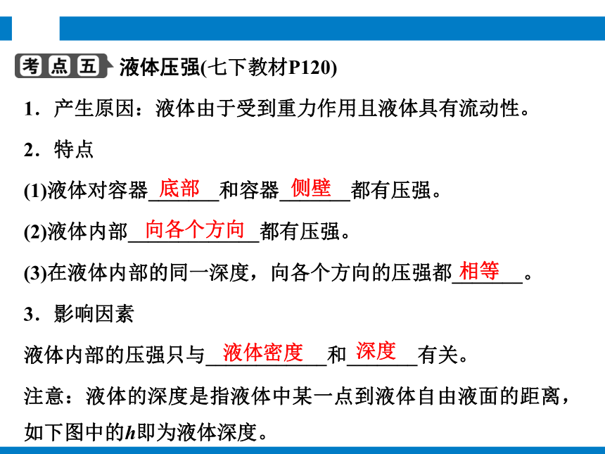 2024浙江省中考科学复习第17讲   压力与压强（课件 49张PPT）