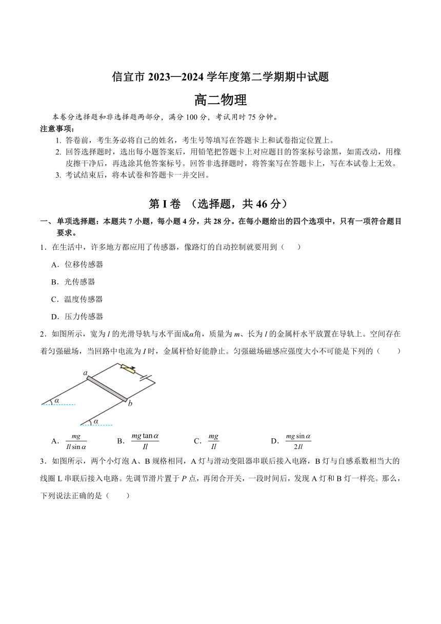 广东省茂名市信宜市2023-2024学年高二下学期期中考试物理试卷（含答案）