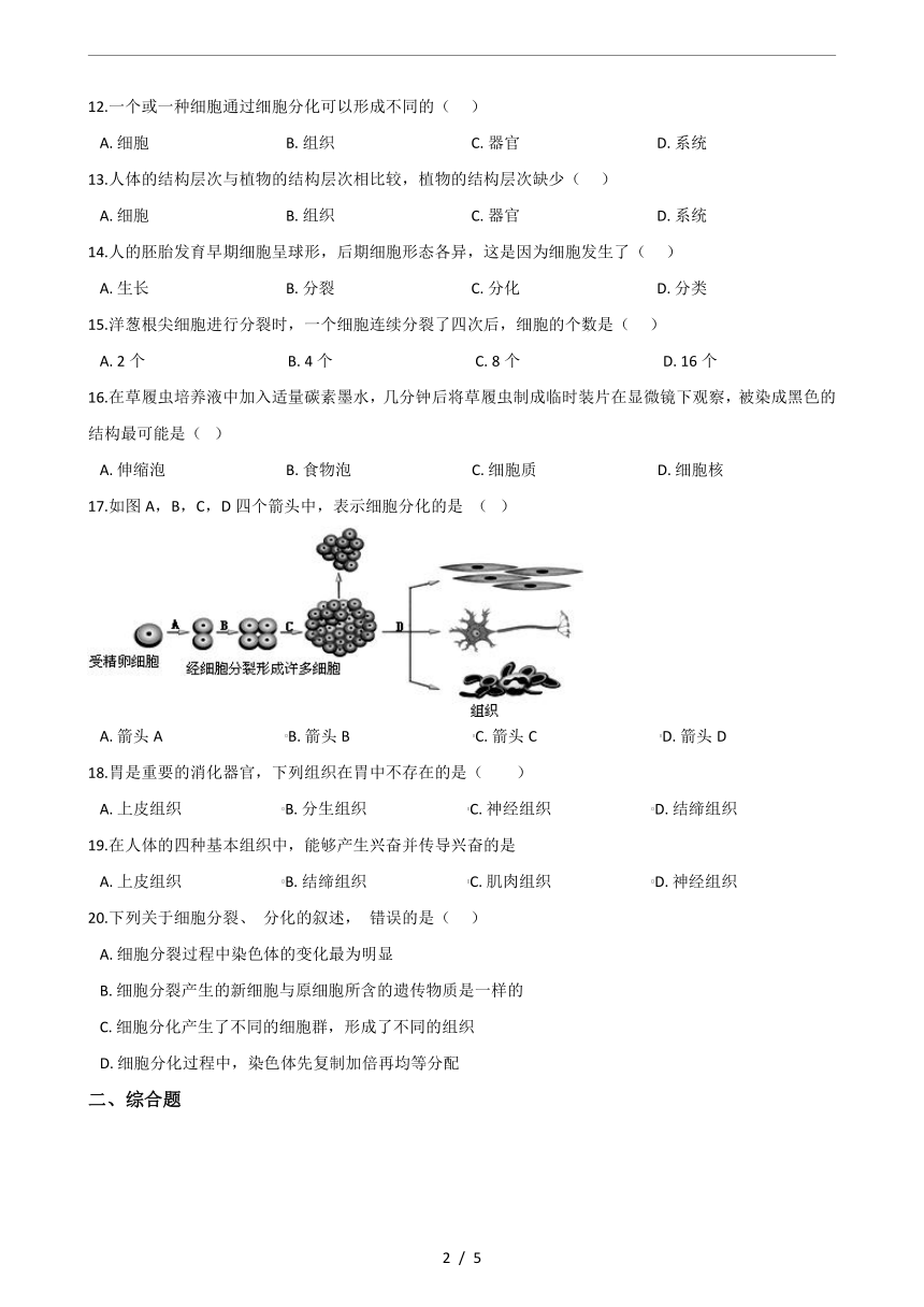 人教版七年级上册生物第二章《细胞怎样构成生物体》单元测试(word版含答案)