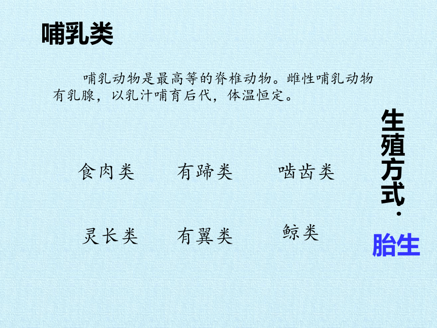 华师大版七年级科学上册 第2章 生物的主要类群 复习课件(共25张PPT)