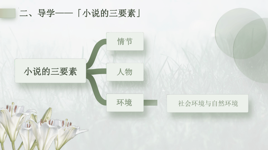 3.1《百合花》课件（共30张PPT）  2023-2024学年统编版高中语文必修上册