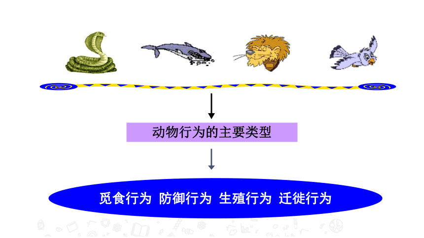 2020年秋苏教版八年级上册生物18.1 动物行为的主要类型 课件 (共32张PPT)