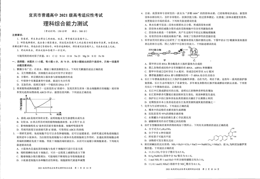 四川省宜宾市2024届高三下学期高考适应性考试（三模）理综试卷（图片版含答案）