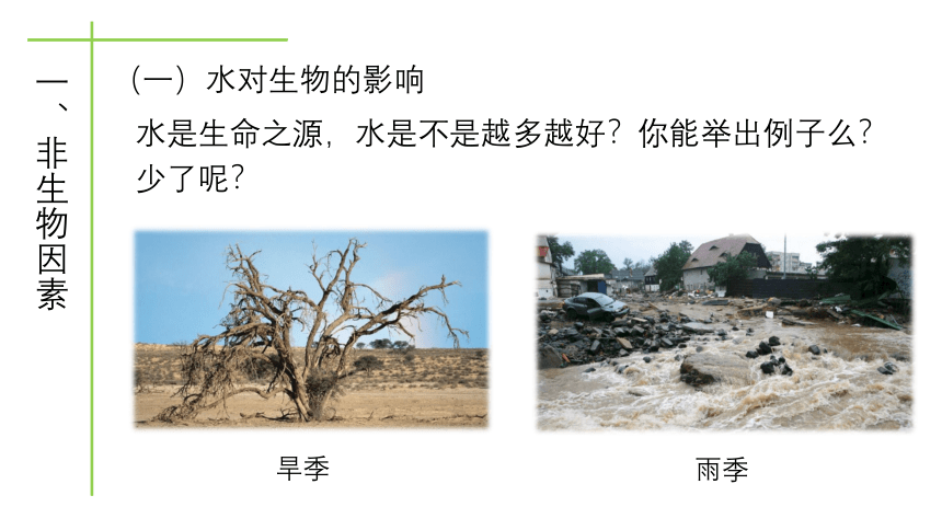 北师大版八年级生物下册教学23.1 生物的生存依赖一定的环境课件 (共25张PPT)