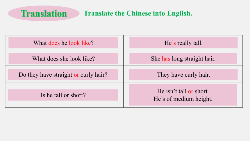 Unit 9 What does he look like? Section A Grammar focus 3a—3d课件(共23张PPT) 2023-2024学年人教版英语七年级下册