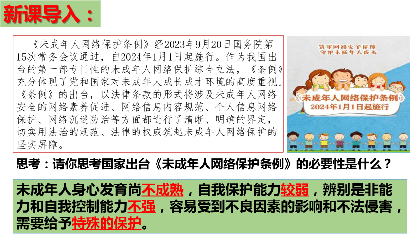 （核心素养目标）10.1 法律为我们护航 课件（共24张PPT）