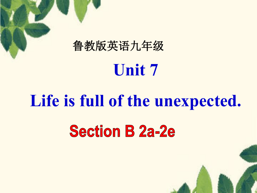 鲁教版英语九年级全册Unit 7 Life is full of the unexpected. Section B 2a-2e 课件（34张PPT无素材）