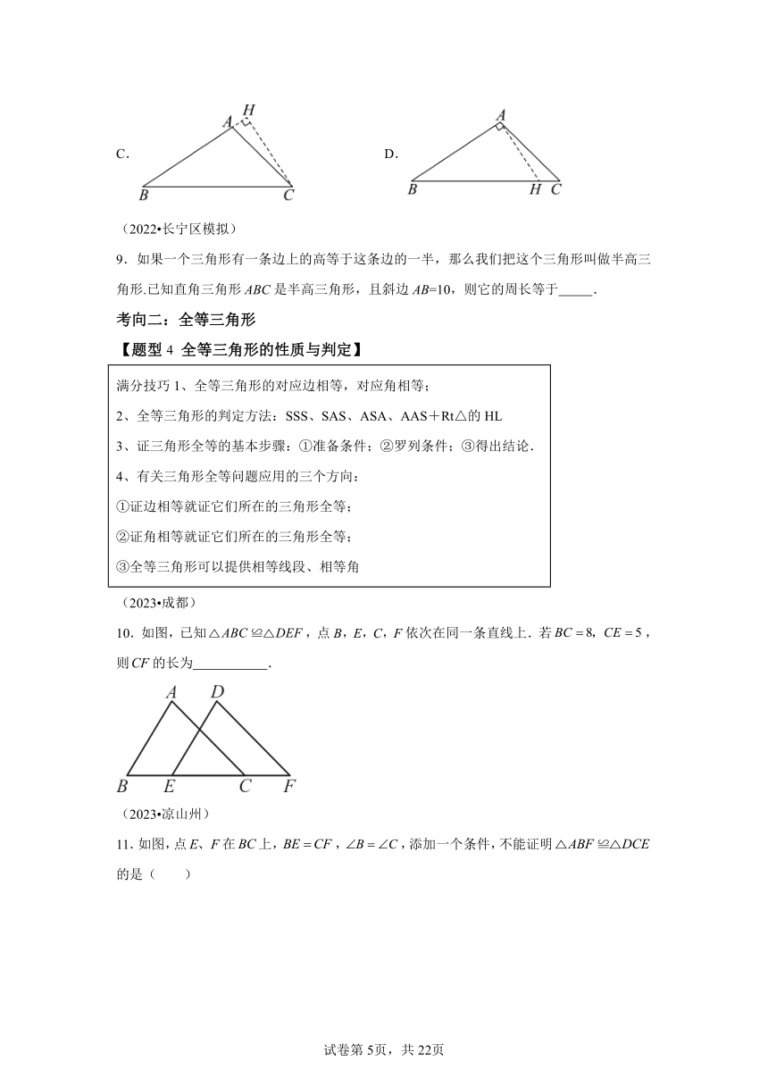 热点06全等三角形与特殊三角形1 2024年中考数学热点重点难点专练（全国通用）（含解析）