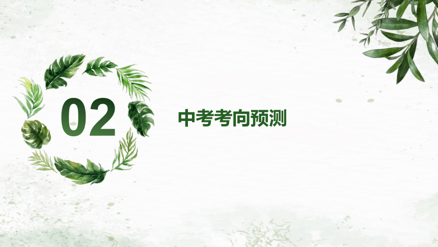 4. 坚持全面依法治国，推进法治中国建设课件（ 48张ppt） - 2024年中考道德与法治二轮复习