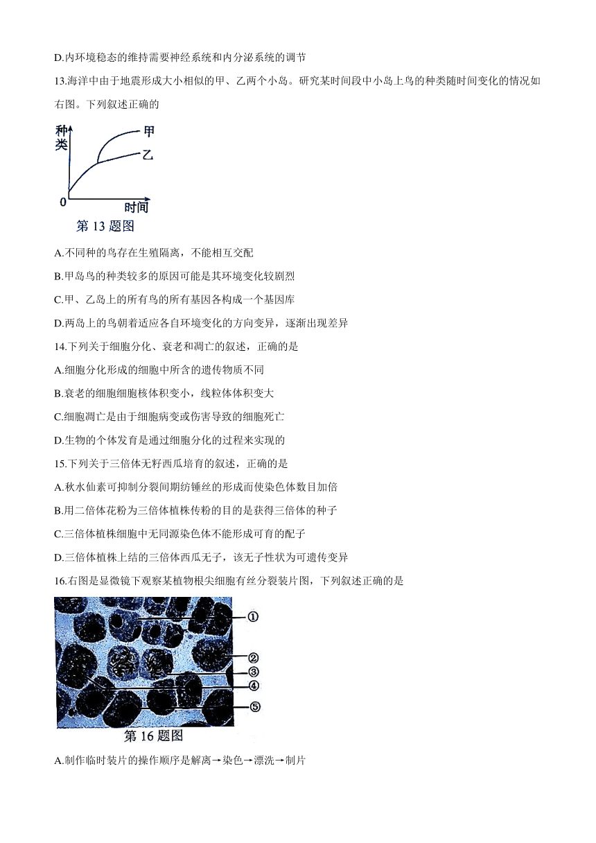 浙江省湖州市2019-2020学年高二下学期期末调研测试生物试题