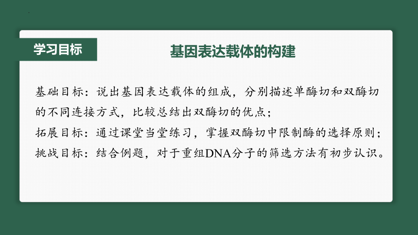 3.2.基因表达载体的构建课件(共23张PPT)-2023-2024学年高二下学期生物人教版（2019）选择性必修3