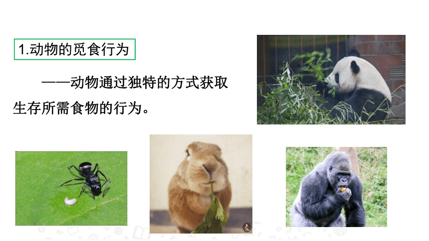 2020年秋苏教版八年级上册生物18.1 动物行为的主要类型 课件 (共32张PPT)