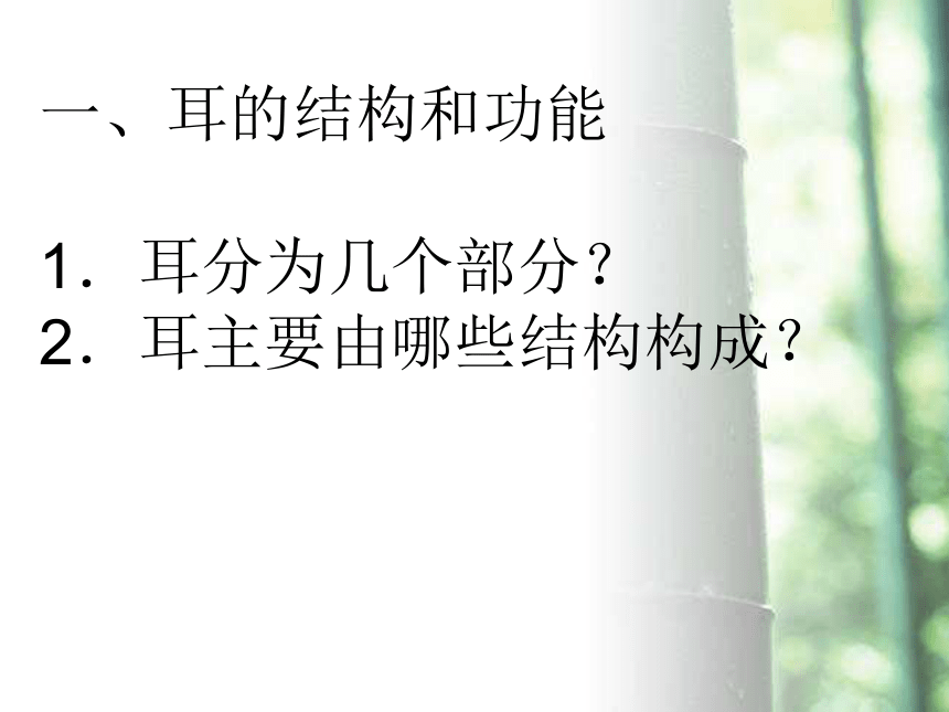 冀教版七年级生物下册2．4．1信息的获取——听觉 课件（共22张PPT）