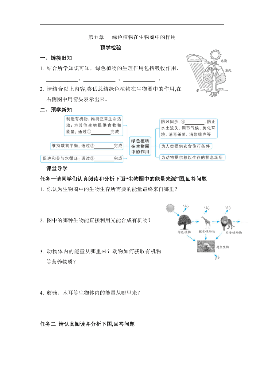 第三单元 第五章 绿色植物在生物圈中的作用 任务驱动式预学检验+课堂导学（含答案） 冀少版生物八年级上册