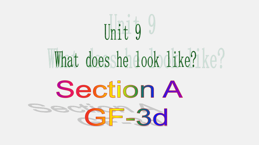 Unit 9 What does he look like? Section A Grammar focus 3a—3d课件(共23张PPT) 2023-2024学年人教版英语七年级下册