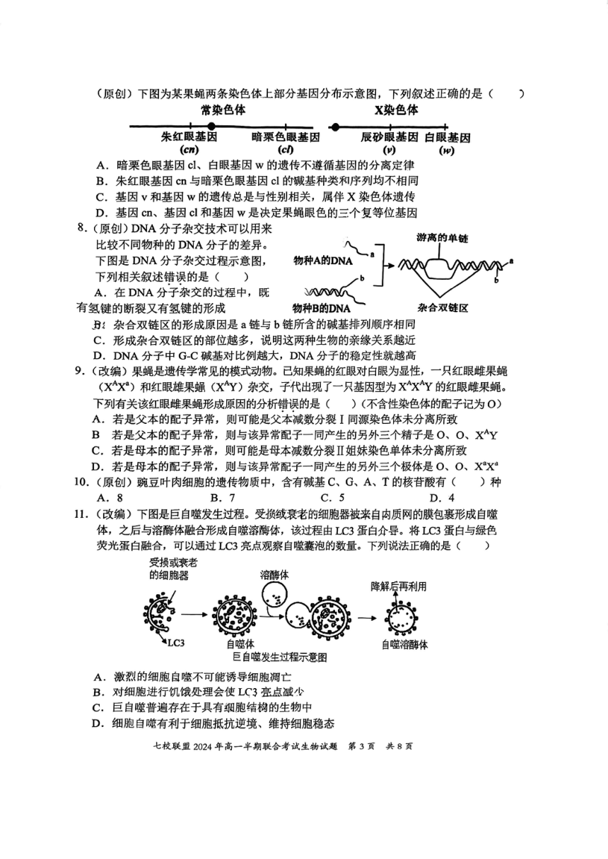 重庆市长寿中学校2023-2024学年高一下学期5月期中生物试题（pdf版无答案）