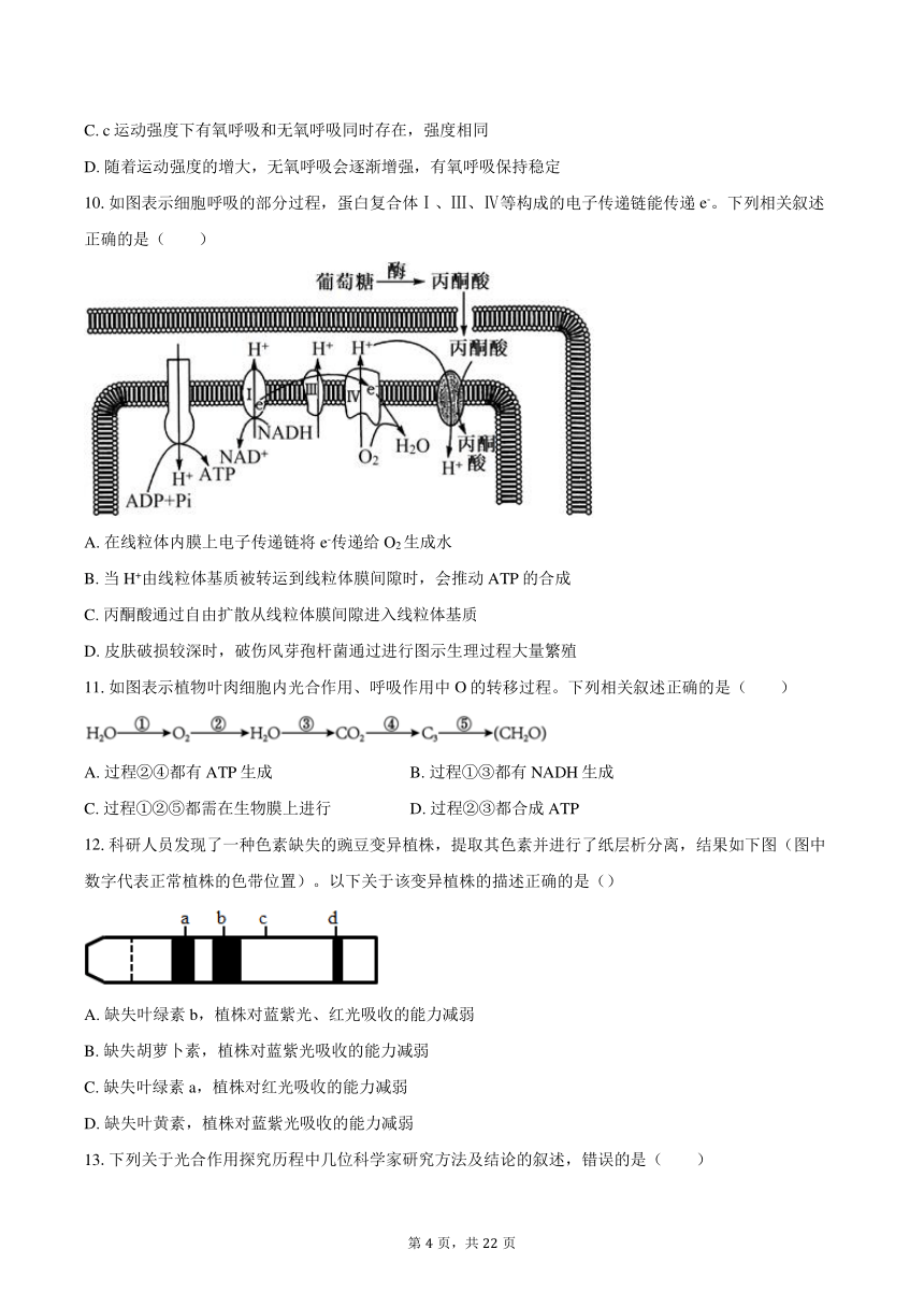 2023-2024学年重庆市黔江中学校高一（下）月考生物试卷（含解析）