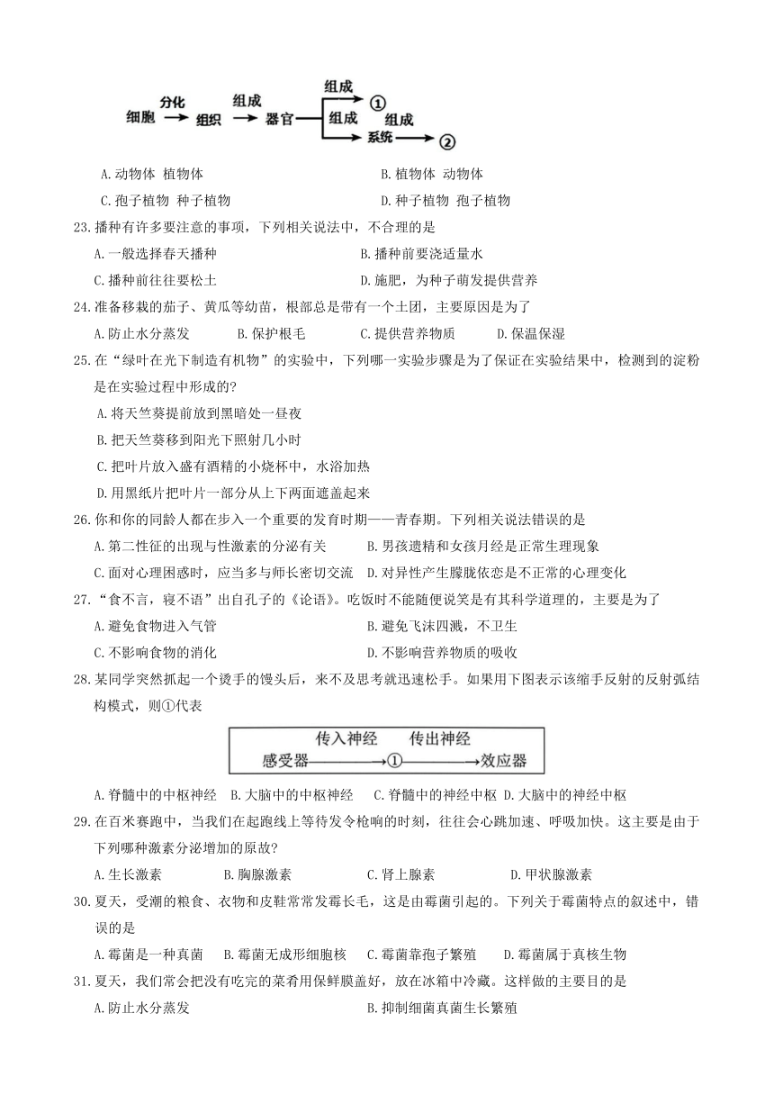 2024年四川省乐山市夹江县初中学业水平适应性考试地理生物试题（缺地理答案）