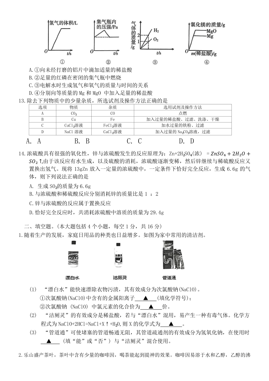 乐山市市中区初中2024届调研考试化学试题（含答案）