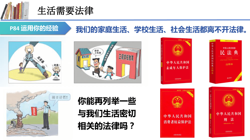 9.1 生活需要法律 课件(共19张PPT)+内嵌视频-2023-2024学年统编版道德与法治七年级下册