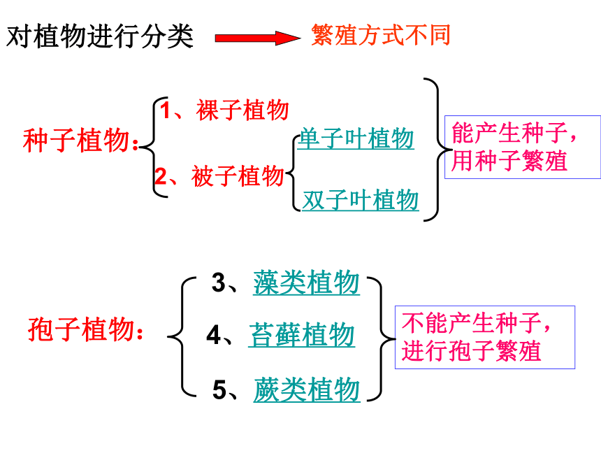 北师大版八年级下册生物《 第7单元 生命的演化 第22章 物种的多样性 第1节 生物的分类》课件（共16张PPT）