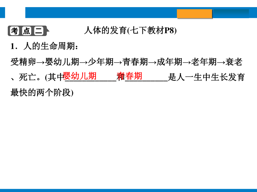 2024浙江省中考科学总复习第3讲　人与动物的生殖和发育（课件 30张PPT）