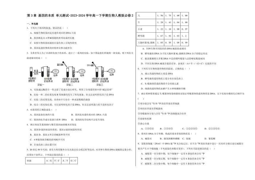 第3章 基因的本质 单元测试（含解析）-2023-2024学年高一下学期生物人教版必修2