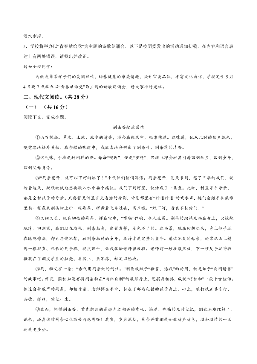 2024年河南省驻马店市第二初级中学中考二模语文试题（含解析）