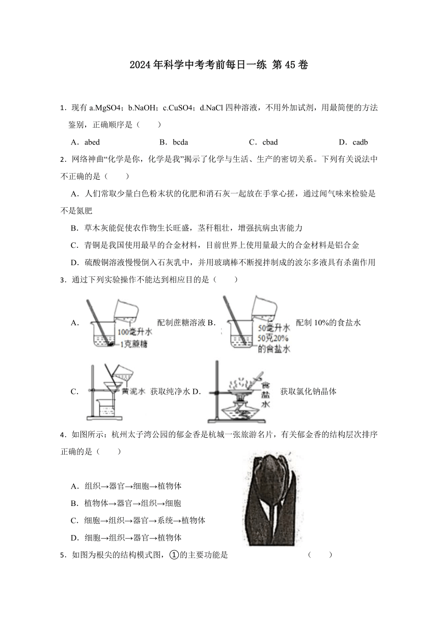 2024年浙江省科学中考考前每日一练 第45卷（含解析）